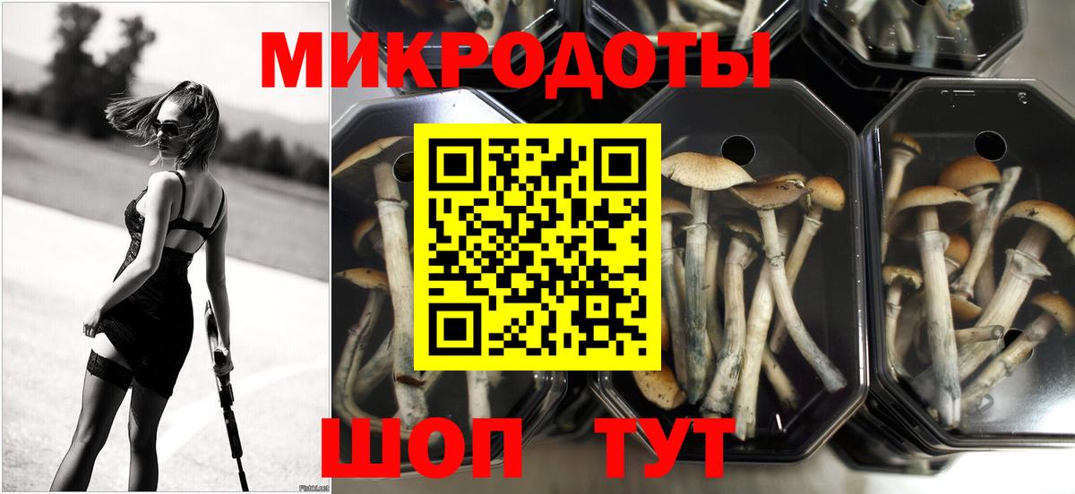 Галлюциногенные грибы прущие грибы  Вход с VPN  Каспийск 